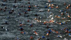 JO-Paris/Seine: la compétition test de natation en eau libre menacée par la pollution
