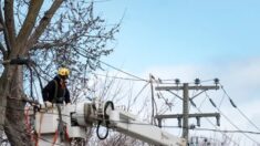 La production d’électricité doit doubler ou tripler pour atteindre les objectifs climatiques du Canada, selon un rapport présenté au Sénat