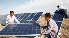L’industrie solaire en Chine recourt au travail forcé, selon un rapport