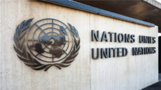 Les Nations unies luttent contre la «désinformation mortifère» en créant une «armée numérique»