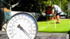 ANALYSE : Les experts en climatologie critiquent la rhétorique alarmiste sur les températures estivales