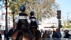 Marseille: un voleur de portables poignarde un cheval pour tenter d’échapper à la brigade équestre