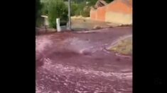 Portugal: impact sur l’environnement limité pour un village inondé par un torrent de vin