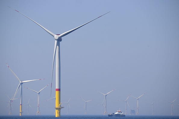 Éoliennes en mer et mort de baleines : de plus en plus d'éléments établissent un lien de causalité