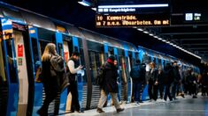 Suède: l’élan qui bloquait le métro à Stockholm abattu