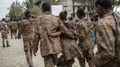 Éthiopie: les hostilités ont pris une ampleur «nationale», alertent des experts de l’ONU