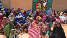 Suspension des organisations internationales au Niger: l’ONU va contacter les autorités