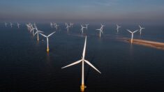 Crise de l’éolien au Royaume-Uni: la construction de nouveaux champs offshores à l’arrêt