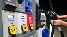La ministre Agnès Pannier-Runacher demande un «effort de solidarité» aux distributeurs de carburants