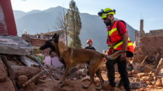 Des équipes françaises de secouristes bénévoles partent pour le Maroc