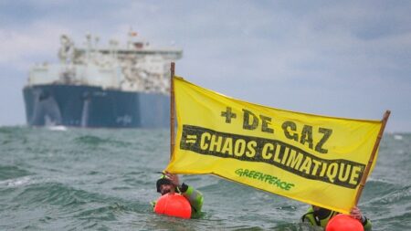 Le Havre: les militants de Greenpeace n’ont pas réussi à empêcher l’arrivée du terminal méthanier