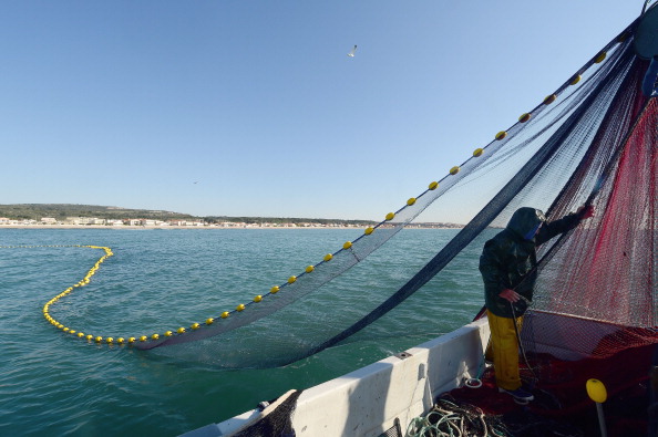 «Cette filière est au bout du bout»: Les pêcheurs exhortent l'État à «prendre ses responsabilités» et trouver des solutions pérennes