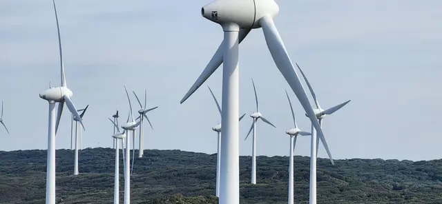 Des éoliennes à Albany, en Australie occidentale, le 4 août 2023. (Susan Mortimer/Epoch Times)