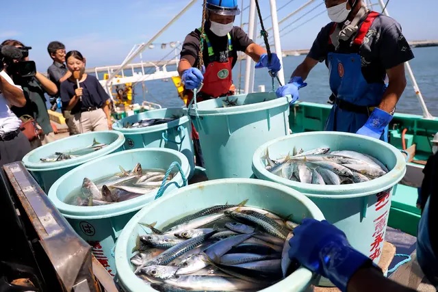Des travailleurs de la pêche déchargent des fruits de mer récoltés au chalut en mer au port de Matsukawaura dans la ville de Soma, préfecture de Fukushima, le 1er septembre 2023, une semaine environ après le début du déversement par le pays des eaux usées traitées de la centrale nucléaire TEPCO de Fukushima Daiichi. (JIJI Press/AFP via Getty Images)
