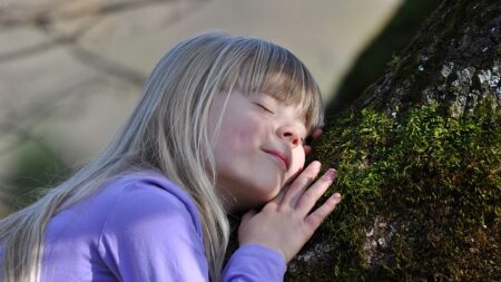 Les arbres joueraient-ils un rôle positif sur le comportement des enfants à l’école ?