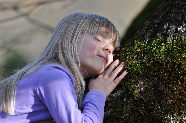 Les arbres joueraient-ils un rôle positif sur le comportement des enfants à l'école ?