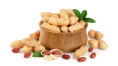 Cacahuètes, ou «fruits de la longévité» : merveilles médicinales et diététiques