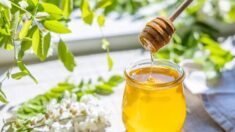 Le trésor doré de la nature : 5 incroyables bienfaits du miel pour la santé