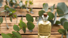 L’aromathérapie pour améliorer les troubles de l’odorat et du goût dans les cas de Covid long