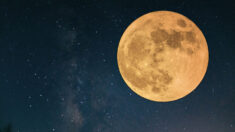 La «Lune des moissons» sera plus grande en tant que quatrième et dernière super lune de 2023, ce qu’il faut savoir