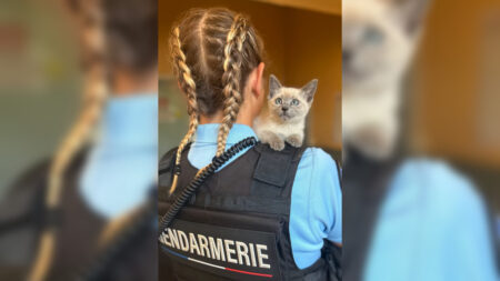 La nouvelle recrue poilue de la gendarmerie dans le Lot-et-Garonne