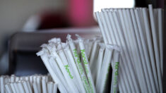 Les pailles en papier sont dangereuses pour l’environnement et la santé selon une étude