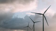 C’est « beaucoup plus violent pour la France »: la branche éolienne de General Electric veut licencier la moitié du personnel