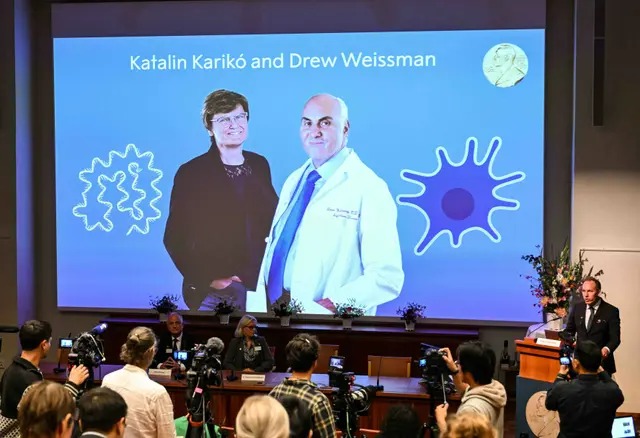 Un écran à l'Institut Karolinska montre les lauréats de cette année, la Hongroise Katalin Kariko (À gauche) et l'Américain Drew Weissman, lors de l'annonce des lauréats du prix Nobel de physiologie ou de médecine 2023 à l'Institut Karolinska de Stockholm, le 2 octobre 2023. (Jonathan Nackstrand/AFP via Getty Images)