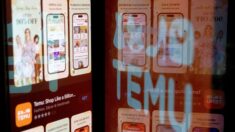 Attention à Temu: l’application chinoise d’e-commerce contiendrait un logiciel espion