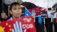Ouïghours: la fille d’une professeure emprisonnée appelle à l’aide