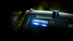 Eure: 7000 munitions, armes à feu, poignards…, les gendarmes découvrent un arsenal chez un particulier