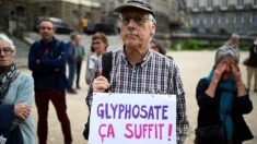 Autorisation du glyphosate pour 10 ans de plus dans l’UE: la France s’abstient