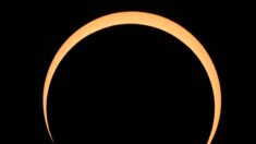 Une éclipse et un «cercle de feu» passent au-dessus des Amériques