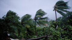 Ouragan Tammy: déclenchement de l’alerte violette cyclone en Guadeloupe, confinée jusqu’à nouvel ordre