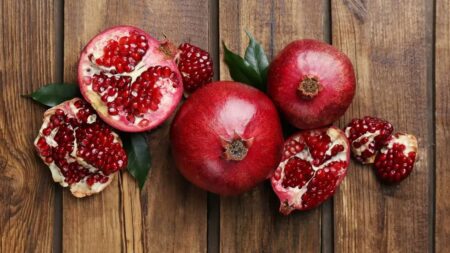 Une nouvelle étude révèle qu’une molécule présente dans les fruits et les noix restaure le système immunitaire vieillissant
