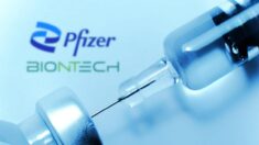Pfizer a exclu les décès survenus au cours des essais cliniques mentionnés dans sa demande d’autorisation d’utilisation du vaccin Covid auprès de la FDA