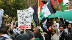 ANALYSE: Pourquoi voit-on des drapeaux communistes aux rassemblements pro-palestiniens au Canada ? 