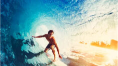 Apprendre à surfer sur l’incertitude de la vie