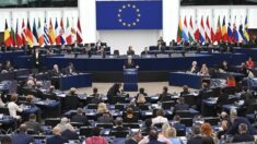 Le Parlement européen avance sur la mise en place du système d’identification numérique
