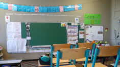Belgique: des milliers d’élèves privés d’école après des alertes à la bombe