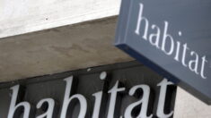 L’enseigne Habitat, en «difficultés financières profondes», demande son placement en redressement judiciaire
