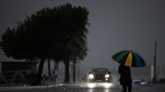 Tempête Ciaran: records de vent, chute d’arbres, la circulation routière est interdite dans le Finistère