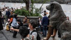 Tokyo fête les 100 ans de Hachiko, le chien symbole de loyauté