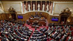 Le Sénat adopte le budget de la «Sécu» après quelques remaniements