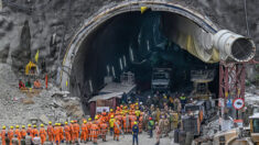Tunnel effondré en Inde: les secours ne sont plus qu’à quelques mètres des 41 ouvriers bloqués