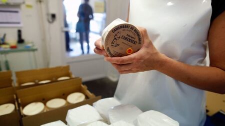 Camembert, Mont d’Or, bourriches d’huîtres… les eurodéputés français s’insurgent contre l’interdiction des boîtes en bois
