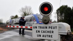 Bretagne: un octogénaire percuté par un train est miraculeusement retrouvé debout et conscient
