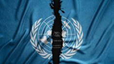 L’ONU veut contrôler la liberté d’expression en ligne