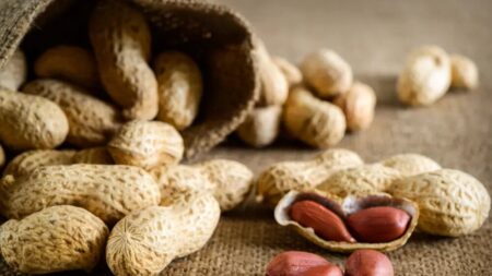 Cacahuètes : protègent le cœur et soutiennent les fonctions cognitives