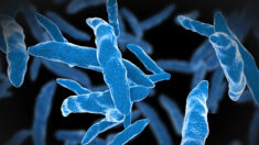 La tuberculose dépasse le Covid-19 en tant que maladie infectieuse la plus mortelle